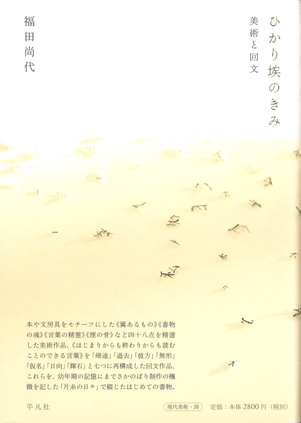 ひかり埃のきみ, 美術と回文