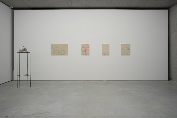 5Gds Wh Bruno Lanc A 2023