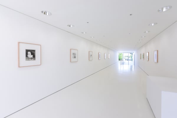 Ricardo Passaporte Car Wash Animals Exhibition