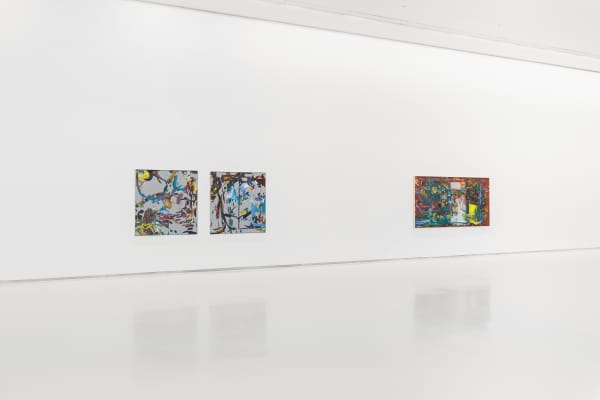 Galeria Duarte Sequeira Petra Cortright Computer Paintings On Linen Exhibition