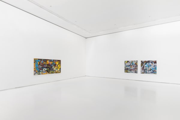 Galeria Duarte Sequeira Petra Cortright Computer Paintings On Linen Exhibition