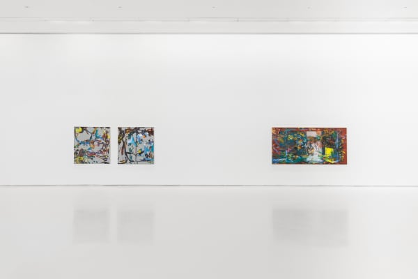 Galeria Duarte Sequeira Petra Cortright Computer Paintings On Linen Exhibition