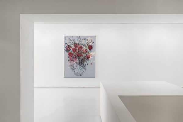 Galeria Duarte Sequeira Petra Cortright Computer Paintings On Linen Exhibition