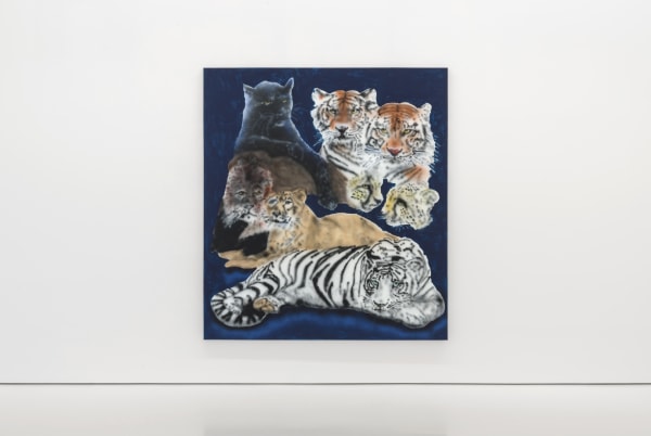 Ricardo Passaporte Car Wash Animals Exhibition