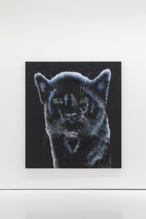 Ricardo Passaporte Car Wash Animals Exhibition