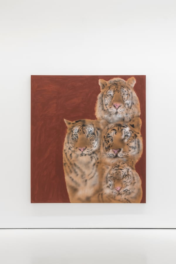 Ricardo Passaporte Car Wash Animals Exhibition