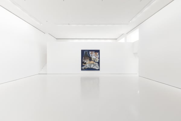 Car Wash Animals by Ricardo Passaporte