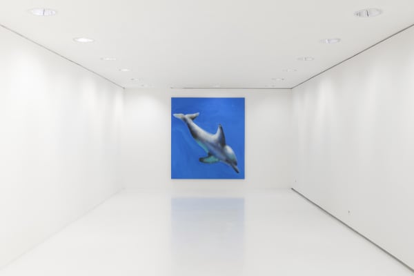 Ricardo Passaporte Car Wash Animals Exhibition