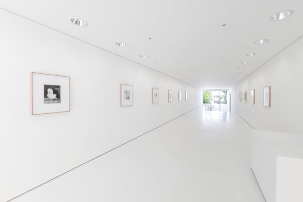 Ricardo Passaporte Car Wash Animals Exhibition