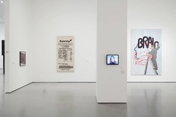 Petra Cortright “VVEBCAM” at MOMA