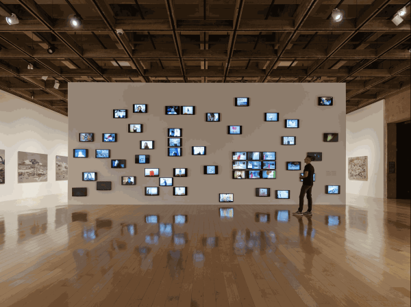 Petra Cortright solo