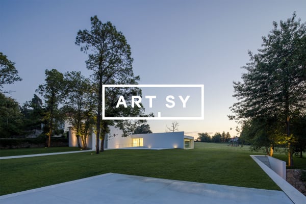 Artsy featured Duarte Sequeira