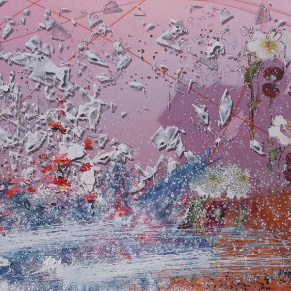 Petra Cortright on The New York Times