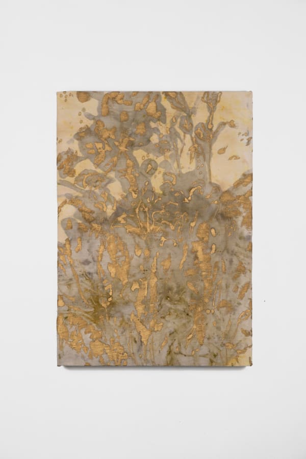 The Sun at its Zenith | Caterina Sammartino