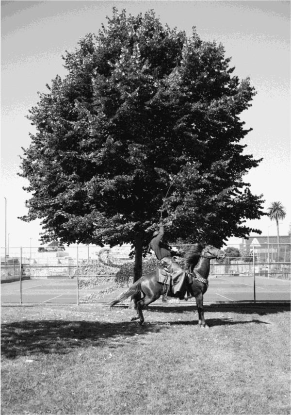 Devynn Barnes, Untitled, Oakland Black Cowboy Parade, 2023, 2023