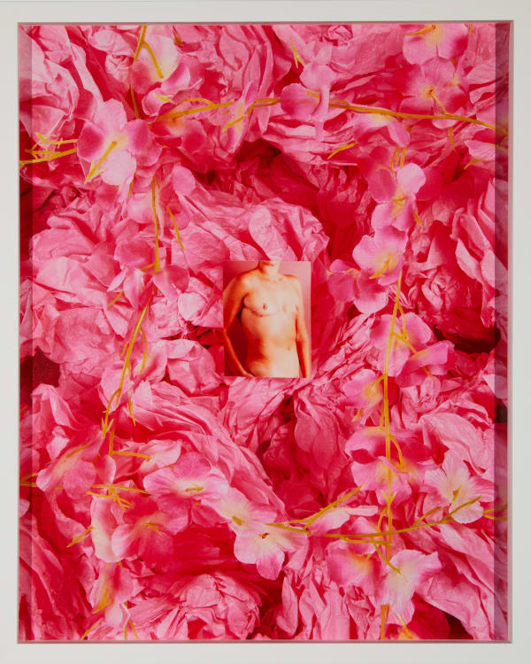 Marcel Pardo Ariza, Más Flores Para Nosotres, 2023