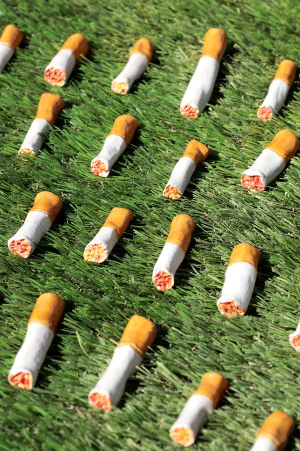 Taylor Lee Nicholson, Cigarette Butts, 2023