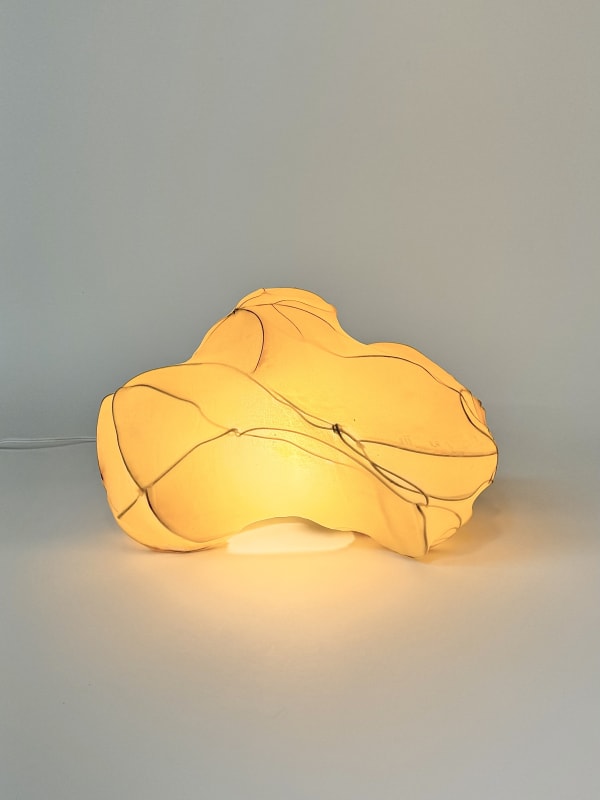 James Cherry, defeat (lamp), 2024