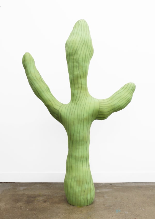 Hunter Harvey, Cactus 1, 2023