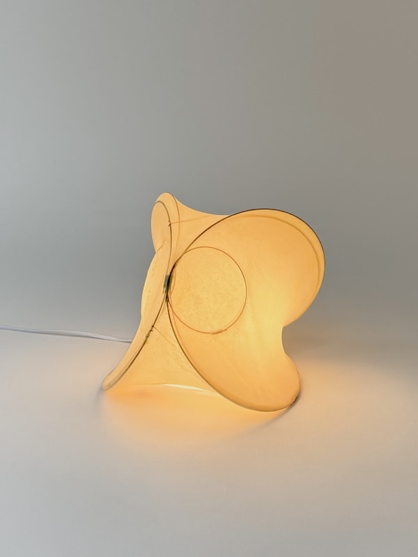 James Cherry, happiness is a butterfly (lamp), 2024