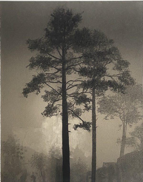 Fiona Fouhy - Aspire