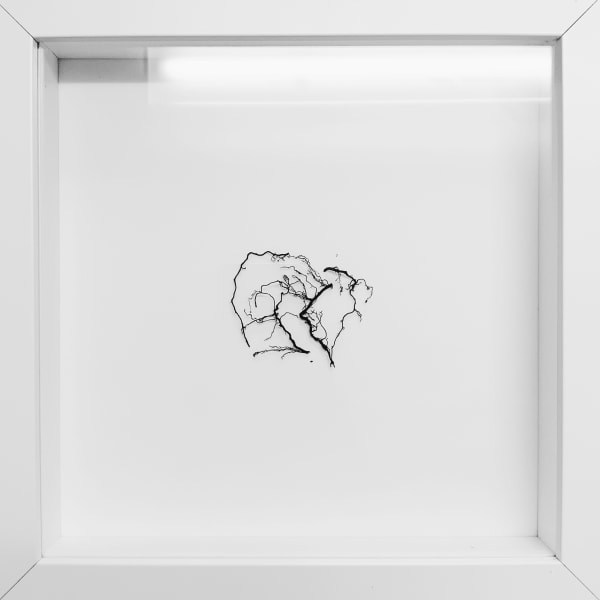 Epha J Roe Root Assembly