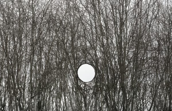 Antti Laitinen - Wanderer, 2024