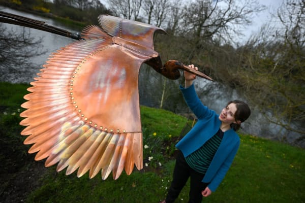 Heron by Ted Edley. Photo by Finnbarr Webster