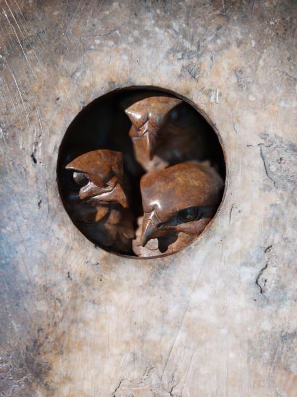 Three Hawks Plaque (detail)