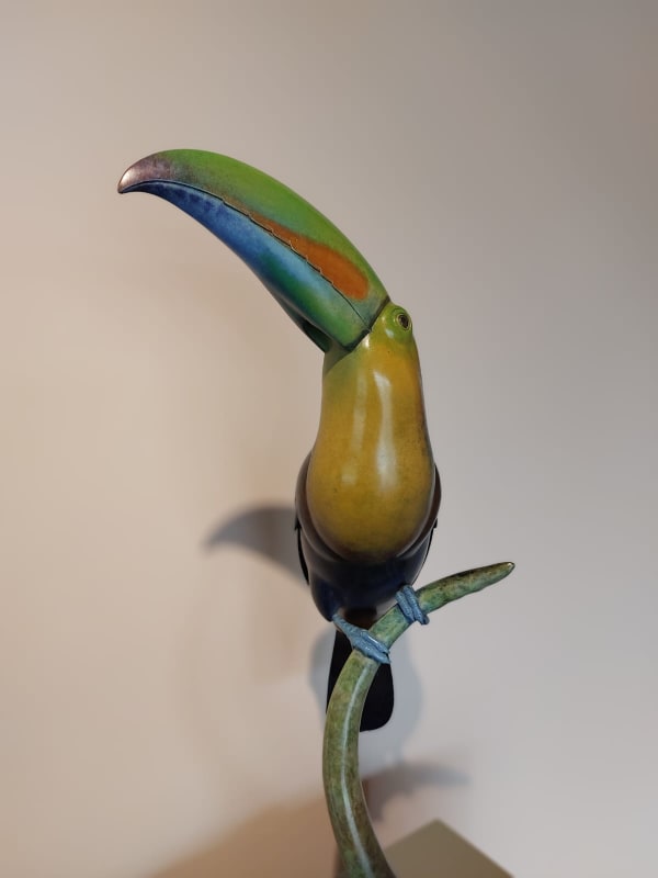 Toucan (detail)