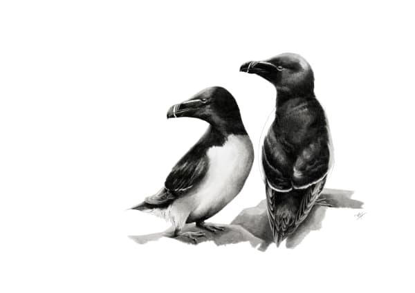 Steadfast by Katy Harrald