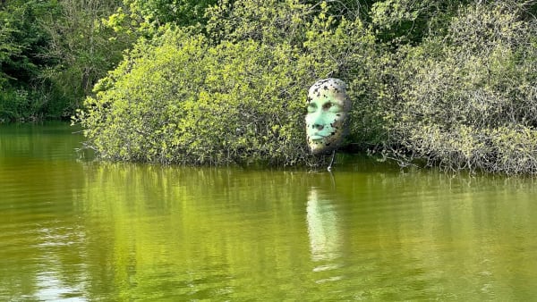 Leaf Spirit by Simon Gudgeon