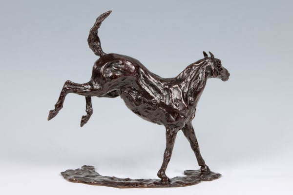 Bucking Pony by Siobhan Bulfin