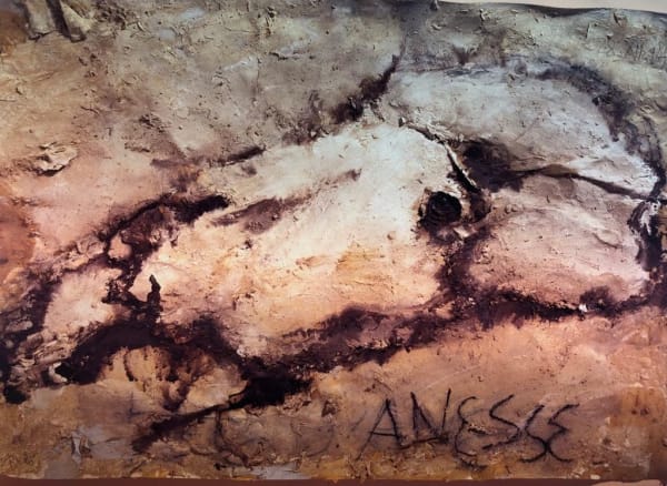 Miquel Barceló, Anesse, 1994