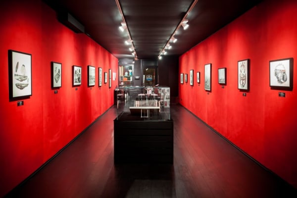 Pat Perry Photo Opening 1