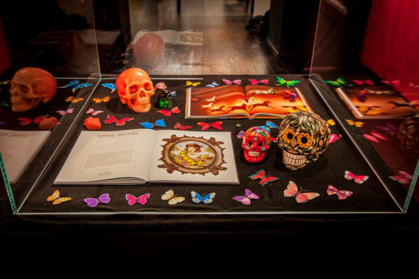 Dcg Metaforamorfoses Rafael Silveira 2020 3691