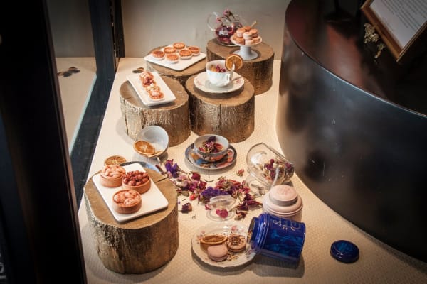 117017553 10157573390612149 3914650724888852769 N