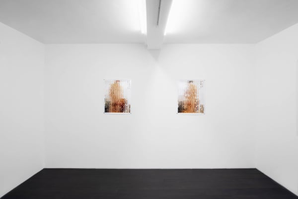 Yushi Li Installation 2 Web