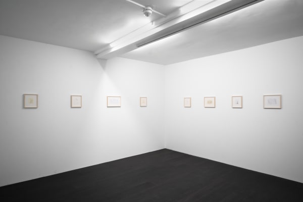 Daniel Blumberg 7 Web