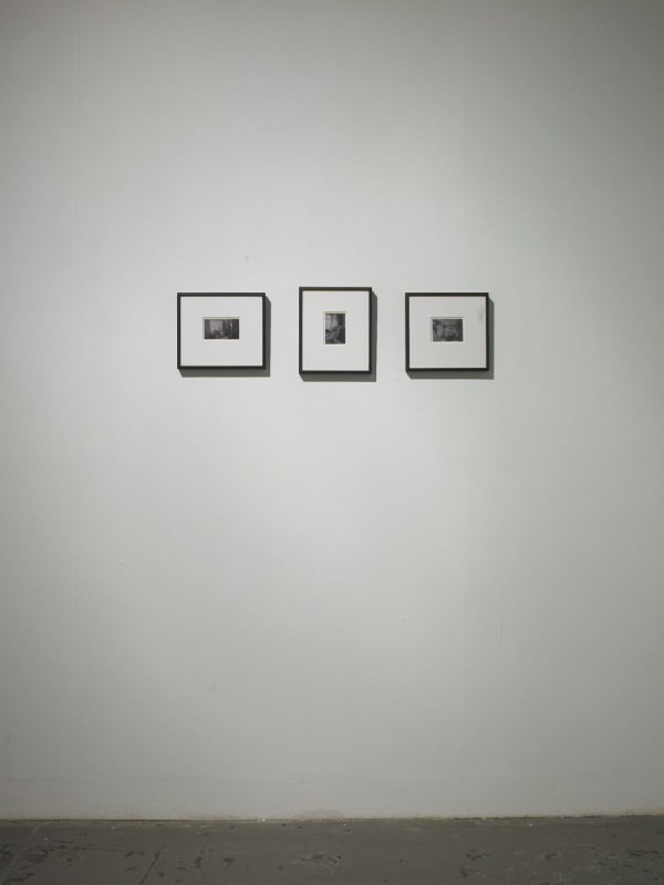 Kingfisher Stales 027871