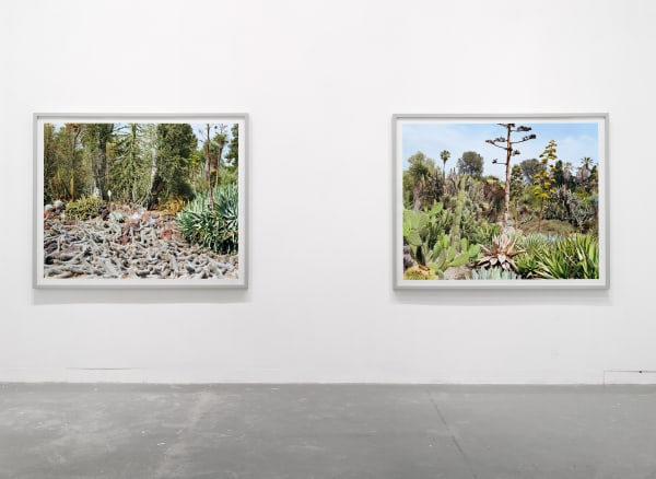 Scott Mcfarland Analysing Trapping Inspecting 4