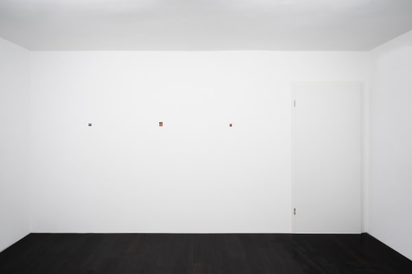 Después de todo, Pececillo Jorge Diezma