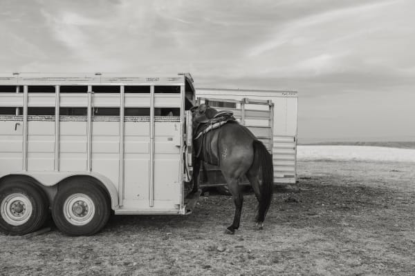 No.05 A Naturalist Guide to Magic 2024.