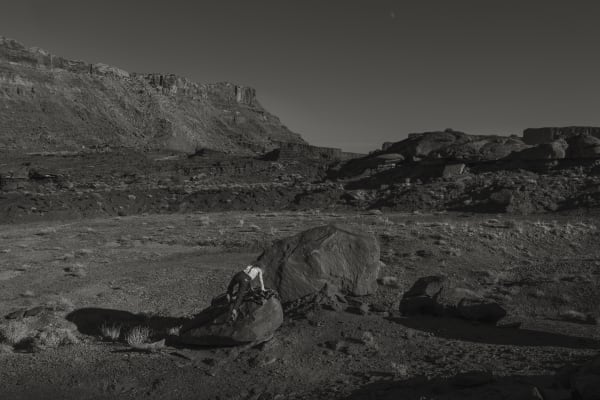 No.10 A Naturalist Guide to Magic 2024.