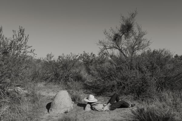 No.36 A Naturalist Guide to Magic 2024.