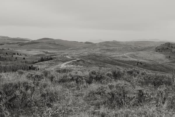 No.48 A Naturalist Guide to Magic 2024.