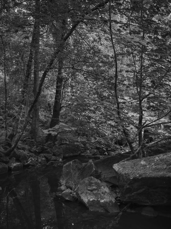 Anja Niemi, Black Water, 2021