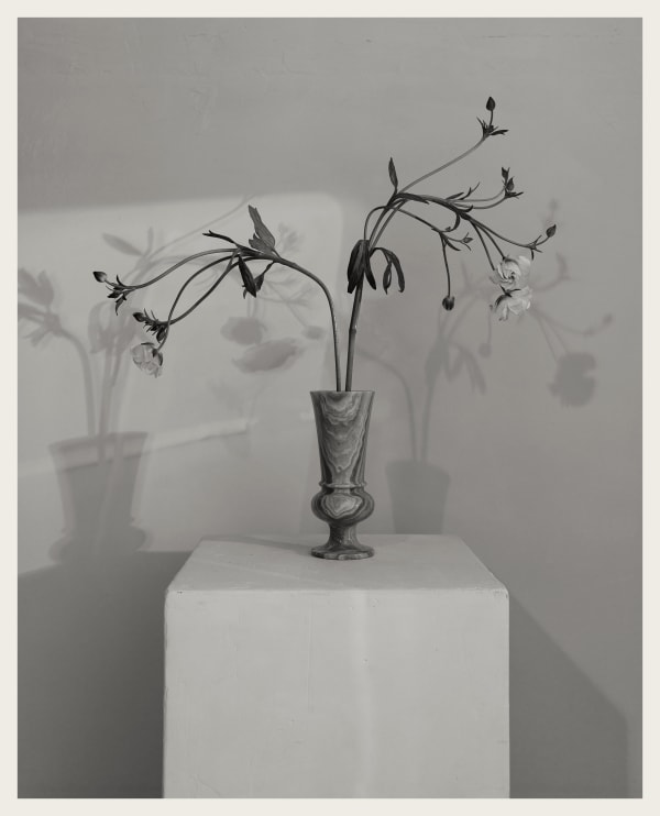 Den Norske Opera og Ballett Figaros Bryllup 2025