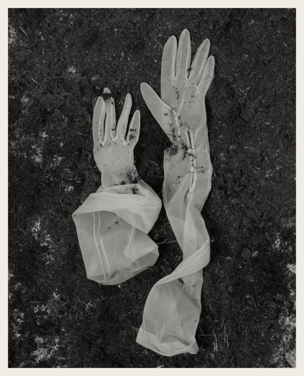 Den Norske Opera og Ballett Figaros Bryllup 2025