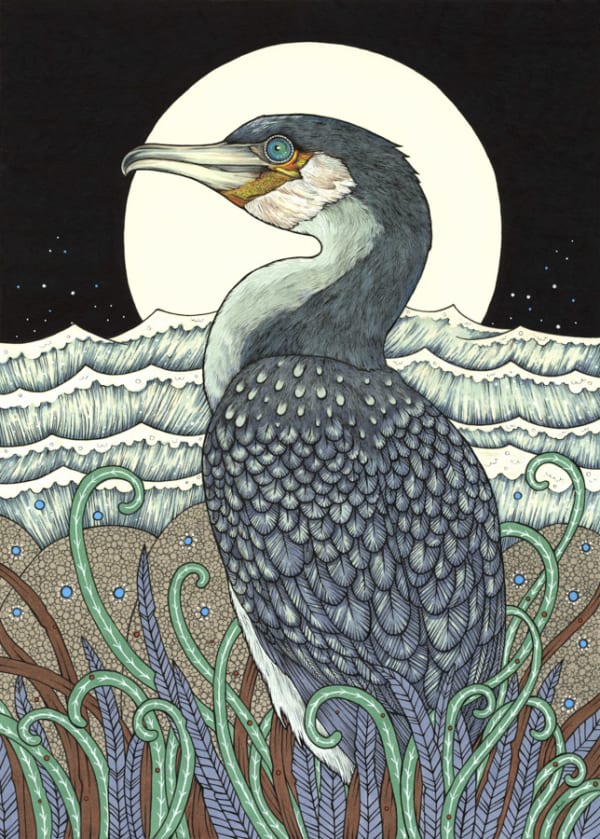 The Elder by Anita Inverarity